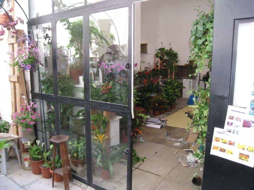 Mishtelet Flortentin