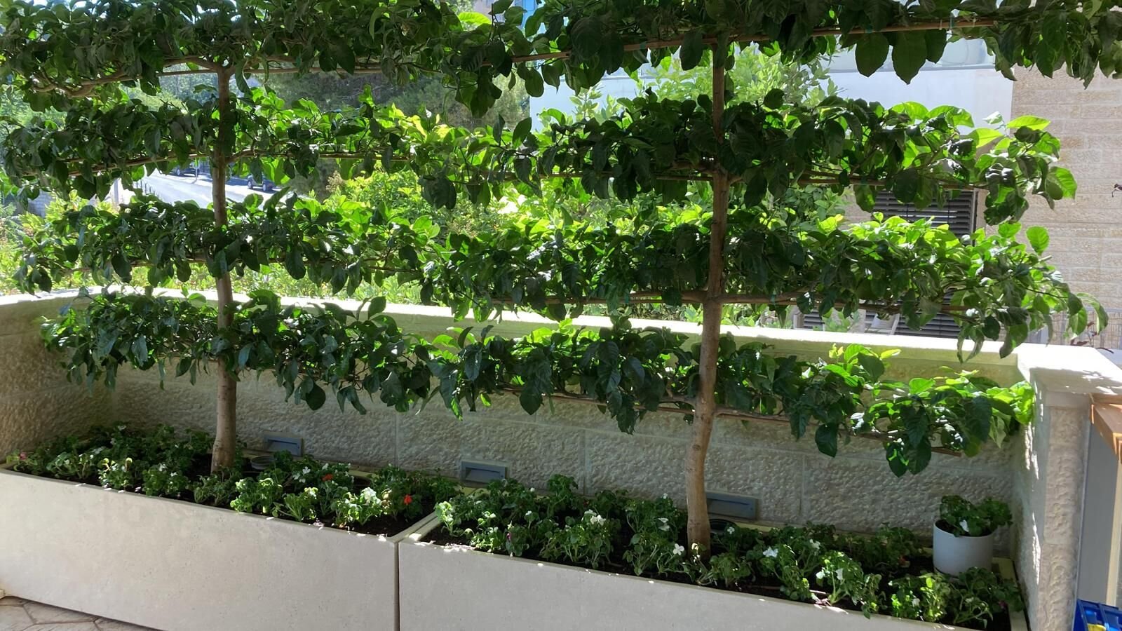 Boutique gardener in Jerusalem – Where Nature Meets Craftsmanship at Affordable Price