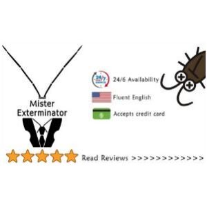 Mr. Exterminator