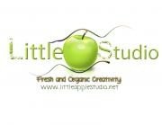 Little Apple Studio: Recording Studio and Video Production