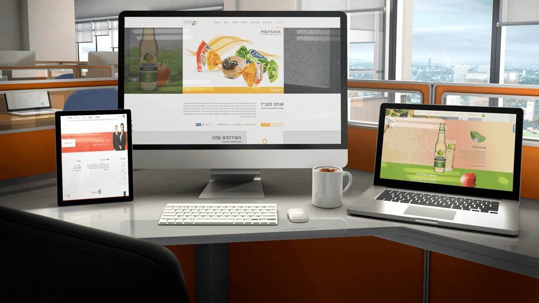 Netbiz Multimedia – website development