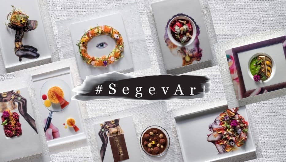 SEGEV EXPRESS