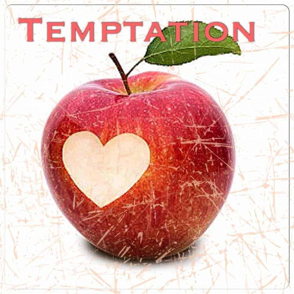 TEMPTATION BAR