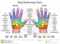 Certified Reflexologist