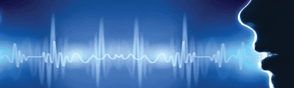 Moshe Berk; Voice Therapist